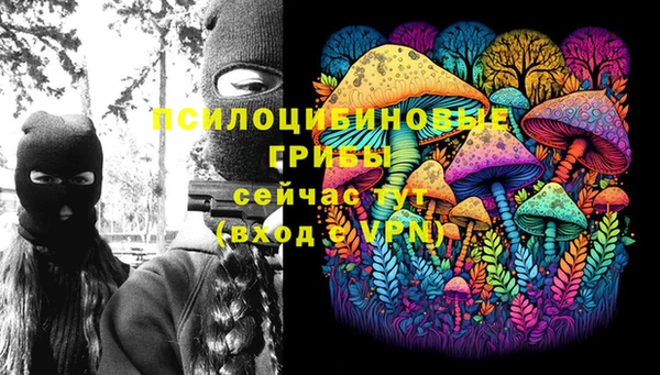 прущая мука Белоозёрский