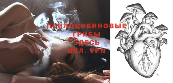 МДПВ Белокуриха